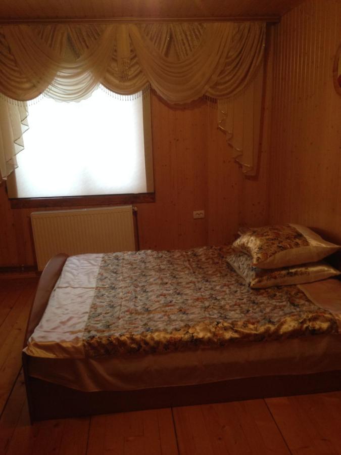 Карпатська Перлина Apartment Iltsi Ngoại thất bức ảnh