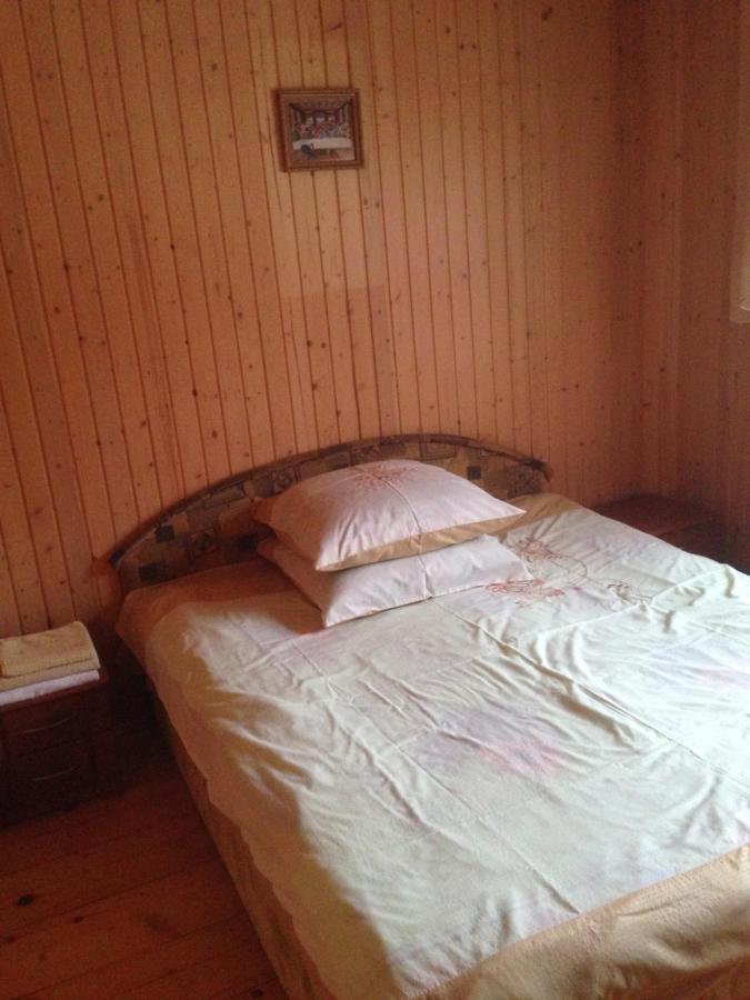 Карпатська Перлина Apartment Iltsi Ngoại thất bức ảnh